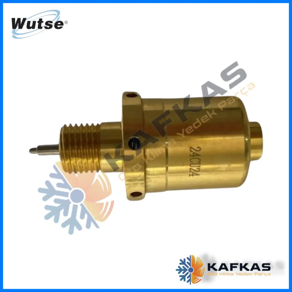 KONTROL VALFİ FORD/FIAT/PEUGEOT 5,3CM