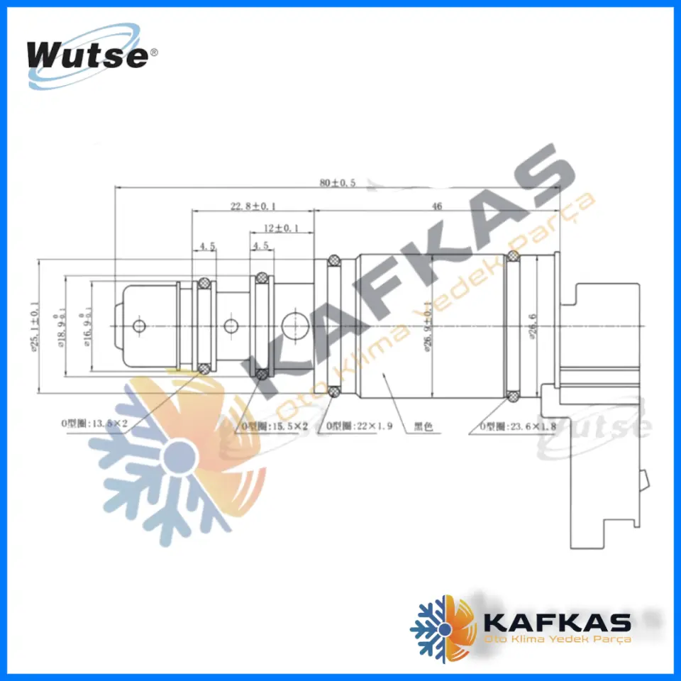 KONTROL VALFİ PEUGEOT / CITROEN 9,9CM